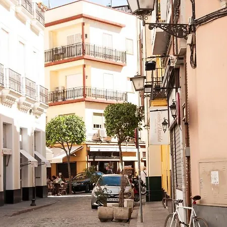 Alohamundi Zaragoza Iii *